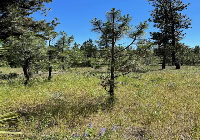 Photo 3 of Land for sale at Lot B Kronos Short Plat/pine Hen Ln, Davenport, WA 99122 | MLS# 202610696 | Listing updated on 2026-10-17