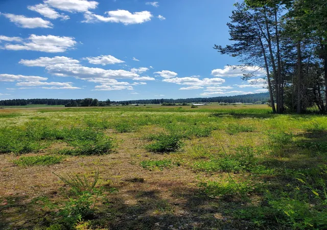 18th image of 5166 Hattery Owens Rd, Deer Park, WA 99006 | MLS# 202610747