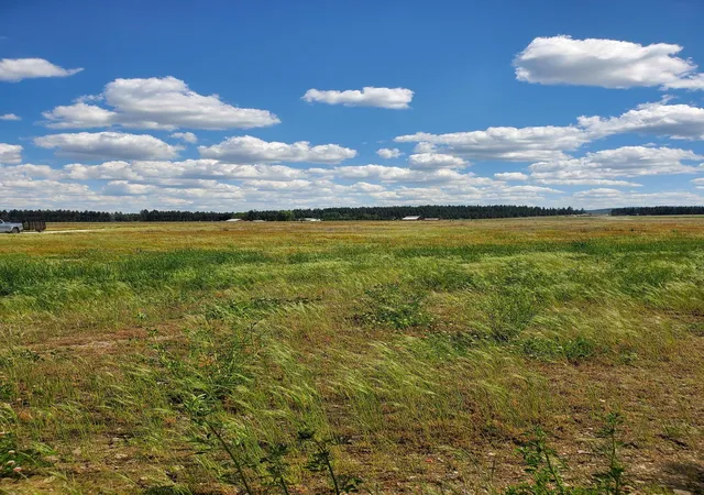 3rd image of 5166 Hattery Owens Rd, Deer Park, WA 99006 | MLS# 202610747