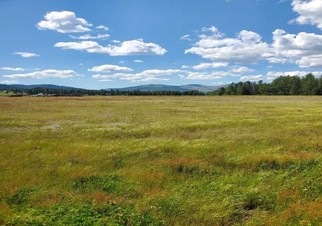 4th image of 5166 Hattery Owens Rd, Deer Park, WA 99006 | MLS# 202610747