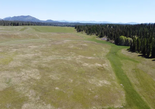 Homes for sale in Springdale, WA | 52xx Wagner Lot H Rd, Springdale, WA 99173 | MLS# 202610971