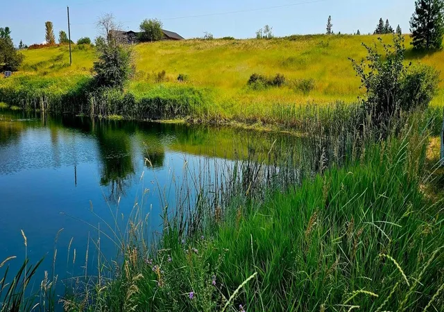 2nd image of 1041 Ward Wy, Colville, WA 99114 | MLS# 202611181
