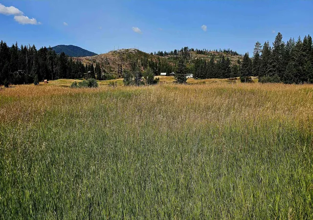 29th image of 1041 Ward Wy, Colville, WA 99114 | MLS# 202611181