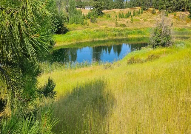 Photo 3 of Land for sale at 1041 Ward Way, Colville, WA 99114 | MLS# 202611181 | Listing updated on 2026-06-11
