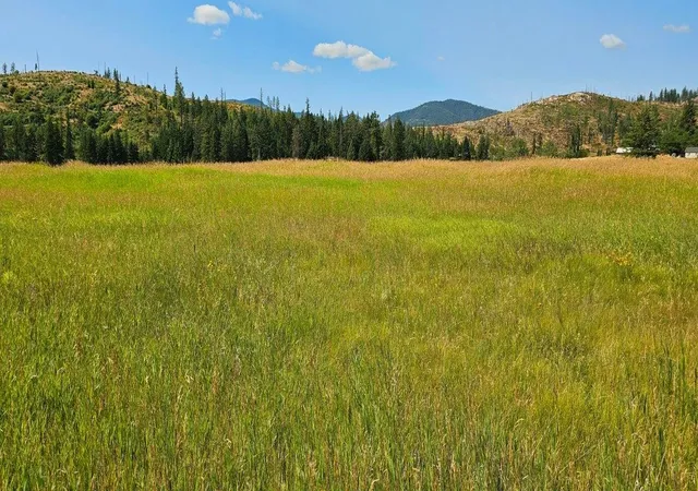 Photo 4 of Land for sale at 1041 Ward Way, Colville, WA 99114 | MLS# 202611181 | Listing updated on 2026-06-11