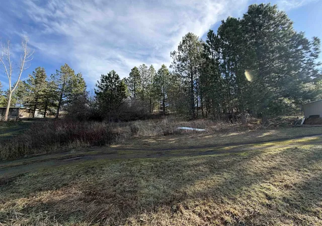 Homes for sale in Rockford, WA | Nka E Stringham Rd, Rockford, WA 99030 | MLS# 202611195