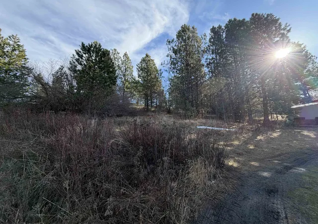 Homes for sale in Rockford, WA | Nka E Stringham Rd, Rockford, WA 99030 | MLS# 202611195