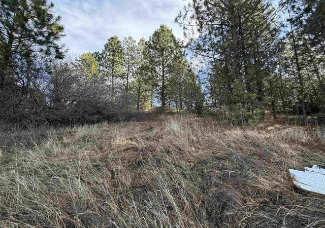 Homes for sale in Rockford, WA | Nka E Stringham Rd, Rockford, WA 99030 | MLS# 202611195