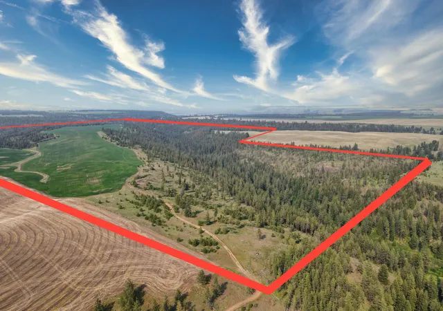 Photo 1 of Land for sale at 45xxx Devore Rd, Davenport, WA 99122 | MLS# 202611303 | Listing updated on 2026-04-03