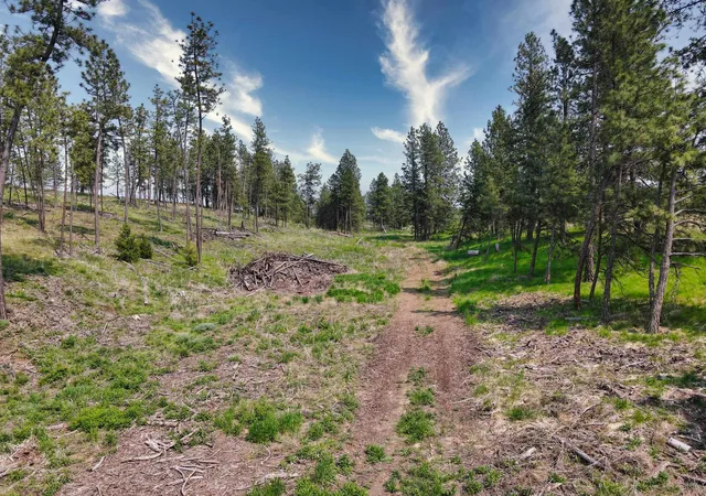 Photo 3 of Land for sale at 45xxx Devore Rd, Davenport, WA 99122 | MLS# 202611303 | Listing updated on 2026-04-03