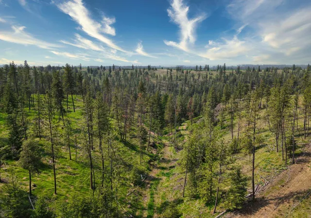 Photo 3 of Land for sale at 45xxx Devore Rd, Davenport, WA 99122 | MLS# 202611303 | Listing updated on 2026-04-03