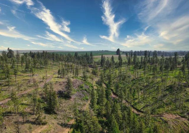 Photo 4 of Land for sale at 45xxx Devore Rd, Davenport, WA 99122 | MLS# 202611303 | Listing updated on 2026-04-03