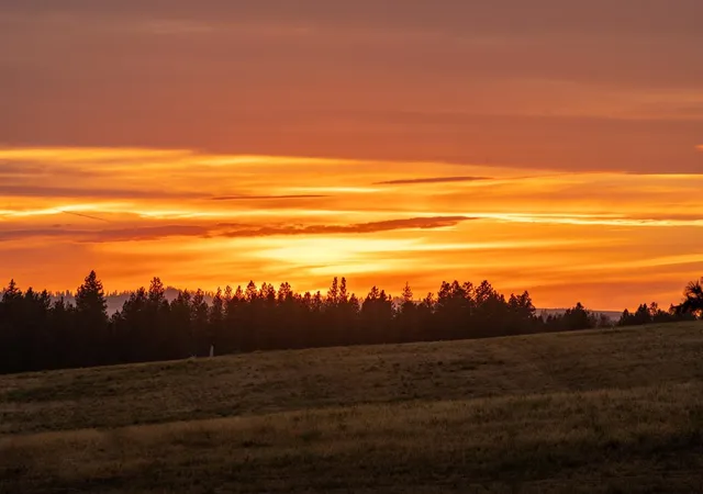 image of 10900 S Silver Hill Rd, Spokane, WA 99223 | MLS# 202611327