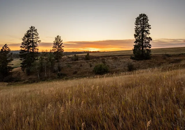 image of 10900 S Silver Hill Rd, Spokane, WA 99223 | MLS# 202611327