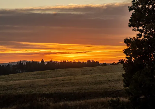 image of 10900 S Silver Hill Rd, Spokane, WA 99223 | MLS# 202611327