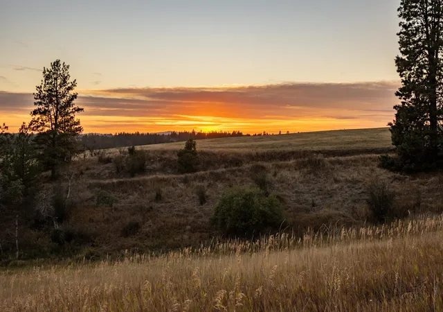 image of 10900 S Silver Hill Rd, Spokane, WA 99223 | MLS# 202611327