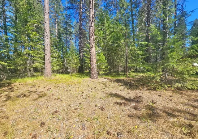 5th image of 270 Eagle Dr, Chewelah, WA 99109 | MLS# 202611488