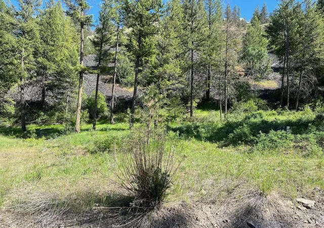 Homes for sale in Davenport, WA | Lot 1 Blue Jay Bob White Ln, Davenport, WA 99122 | MLS# 202611568