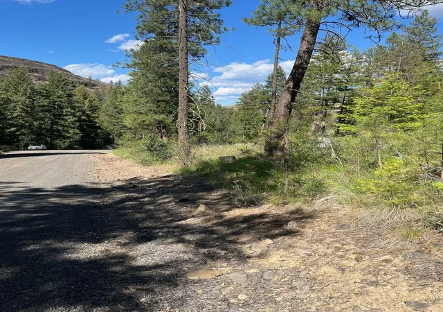 Homes for sale in Davenport, WA | Lot 1 Blue Jay Bob White Ln, Davenport, WA 99122 | MLS# 202611568