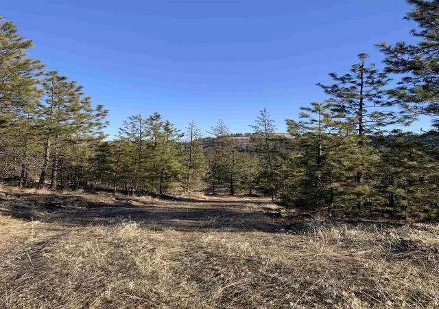 Photo 3 of Land for sale at Lot 1 Blue Jay Bob White Ln, Davenport, WA 99122 | MLS# 202611568 | Listing updated on 2026-08-16