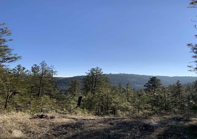 Photo 4 of Land for sale at Lot 1 Blue Jay Bob White Ln, Davenport, WA 99122 | MLS# 202611568 | Listing updated on 2026-08-16