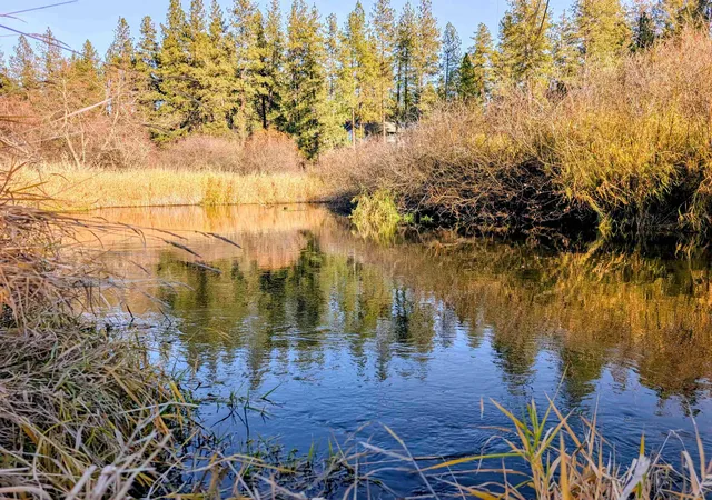 2nd image of 26310 N River Estates Dr, Chattaroy, WA 99003 | MLS# 202611600