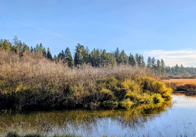4th image of 26310 N River Estates Dr, Chattaroy, WA 99003 | MLS# 202611600