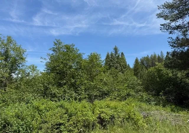 Homes for sale in Springdale, WA | (Undisclosed), Springdale, WA 99173 | MLS# 202611631