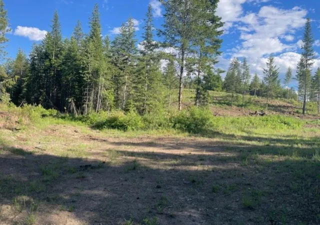 1st image of Nkn Bead Lake Road Rd, Newport, WA 99156 | MLS# 202611922