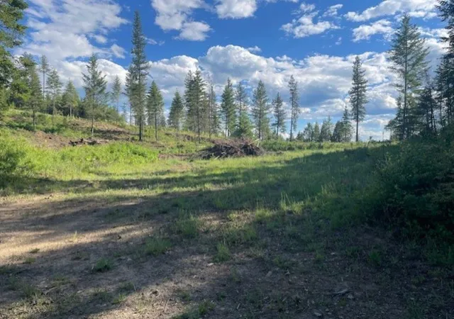 2nd image of Nkn Bead Lake Road Rd, Newport, WA 99156 | MLS# 202611922