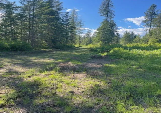27th image of Nkn Bead Lake Road Rd, Newport, WA 99156 | MLS# 202611922