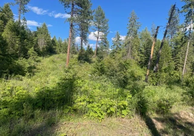 Photo 3 of Land for sale at Nkn Bead Lake Rd, Newport, WA 99156 | MLS# 202611922 | Listing updated on 2026-09-12