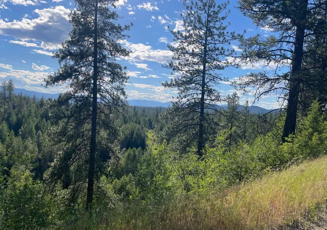 Photo 4 of Land for sale at Nkn Bead Lake Rd, Newport, WA 99156 | MLS# 202611922 | Listing updated on 2026-09-12