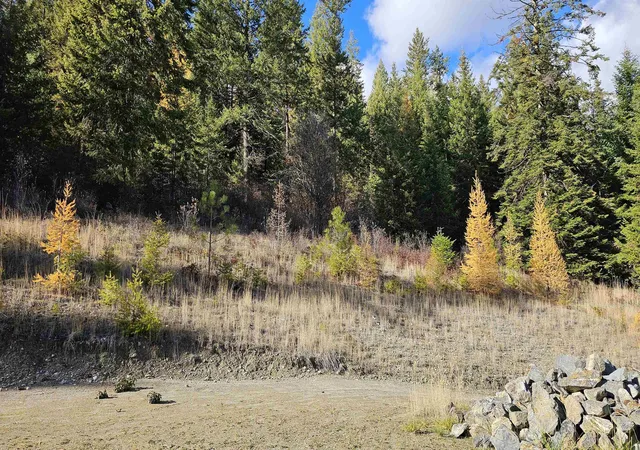 8th image of 717 C Finley Gulch Rd, Colville, WA 99114 | MLS# 202611935