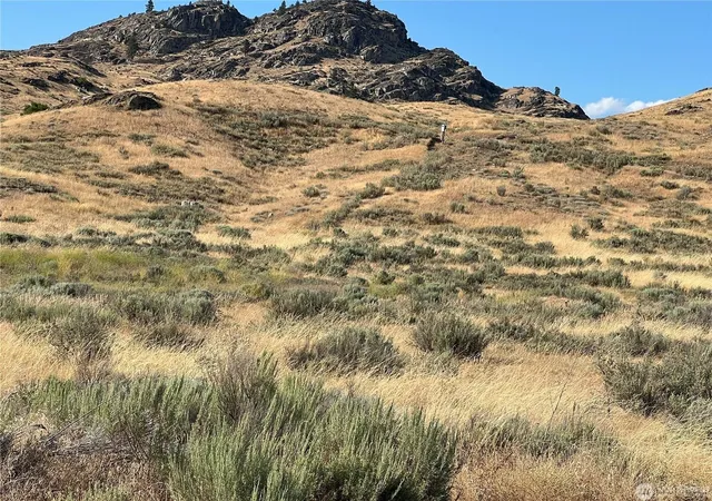1st image of Lot 3 Gunsmoke Rd, Brewster, WA 98812 | MLS# 202611937