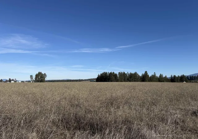 Photo 3 of Land for sale at 21xxx N Division Ln, Colbert, WA 99005 | MLS# 202612029 | Listing updated on 2026-05-29