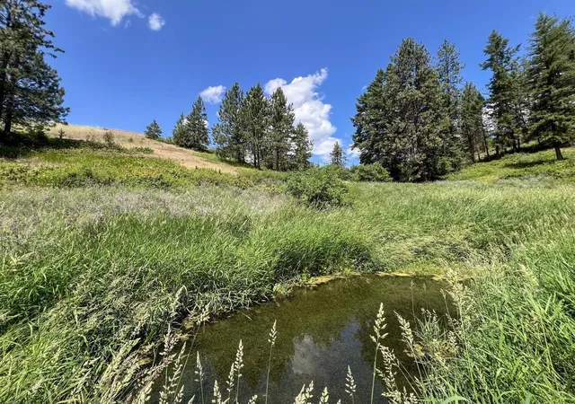 Photo 3 of Single family home for sale at 598 N 395 Highway, Kettle Falls, WA 99141 | MLS# 202612309 | Listing updated on 2026-09-21