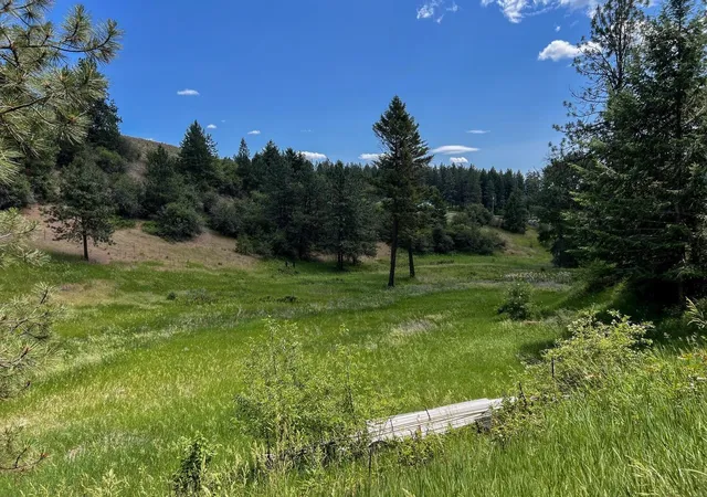 49th image of 598 N 395 Hwy, Kettle Falls, WA 99141 | MLS# 202612309