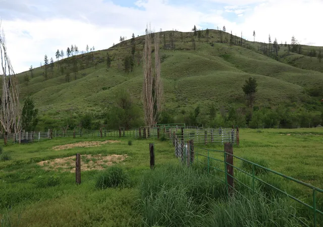 5th image of 734 Tunk Creek Rd, Riverside, WA 98849 | MLS# 202612619
