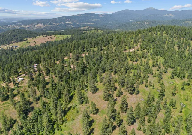 Homes for sale in Mead, WA | Nna Scribner Branch Rd, Mead, WA 99217 | MLS# 202612776