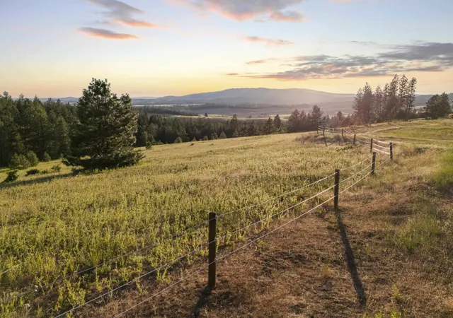 2nd image of 10718 S Mica Vista Ln, Mica, WA 99023 | MLS# 202612812