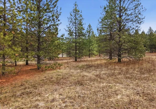 Homes for sale in Nine Mile Falls, WA | 65xx Whispering Pines Wy, Nine Mile Falls, WA 99026 | MLS# 202612860