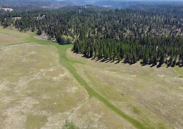 Homes for sale in Springdale, WA | 52xx Wagner Lot C Rd, Springdale, WA 99173 | MLS# 202613036