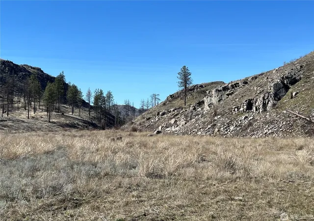 12th image of Nna Soap Lake Rd, Malott, WA 98829 | MLS# 202613112