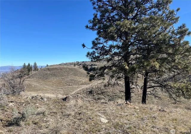 image of Nna Soap Lake Rd, Malott, WA 98829 | MLS# 202613112
