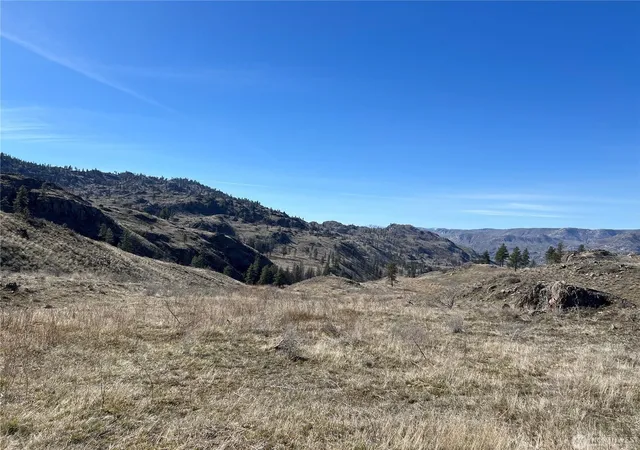 image of Nna Soap Lake Rd, Malott, WA 98829 | MLS# 202613112