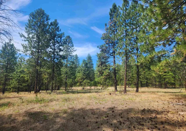 Photo 3 of Land for sale at 1866k Northport Flt Crk Rd, Kettle Falls, WA 99141 | MLS# 202613222 | Listing updated on 2026-03-17