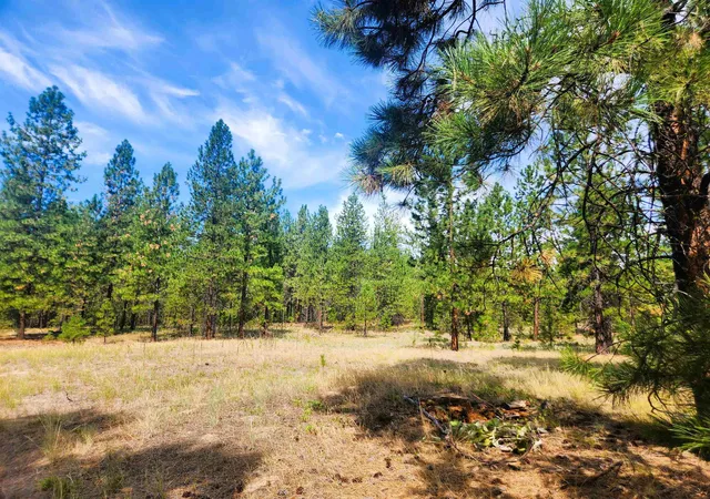 Photo 3 of Land for sale at 1866k Northport Flt Crk Rd, Kettle Falls, WA 99141 | MLS# 202613222 | Listing updated on 2026-03-17