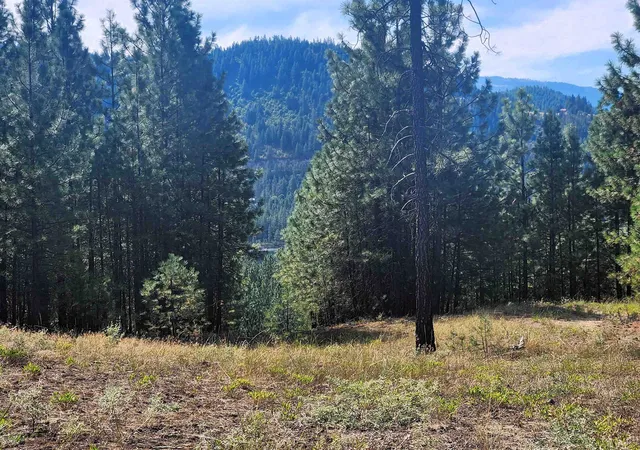 Photo 4 of Land for sale at 1866k Northport Flt Crk Rd, Kettle Falls, WA 99141 | MLS# 202613222 | Listing updated on 2026-03-17