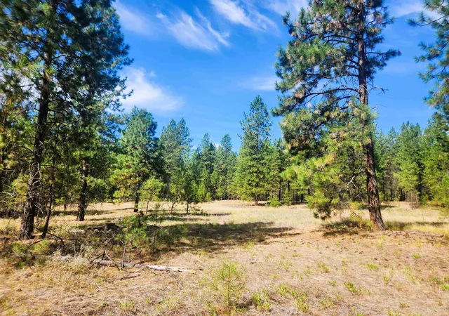 Homes for sale in Kettle Falls, WA | 1866k Northport Flat Creek Rd, Kettle Falls, WA 99141 | MLS# 202613222